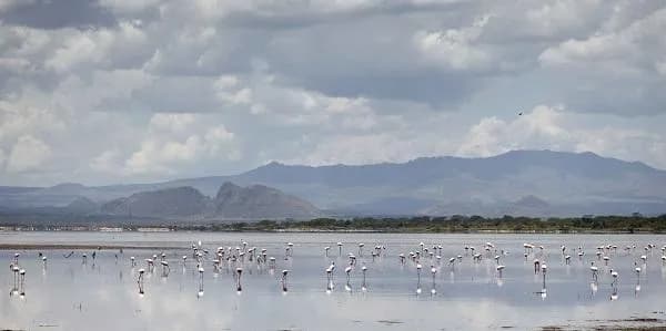 Lake Bogoria National Reserve