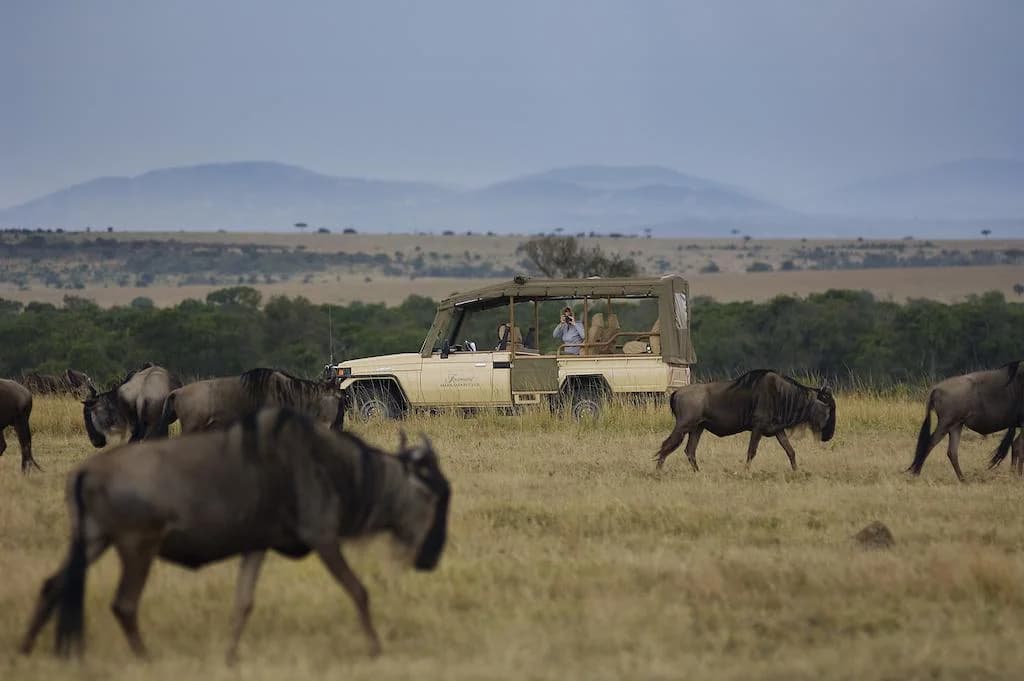 Best Time to Visit Kenya: The Great Migration vs Coastal Seasons