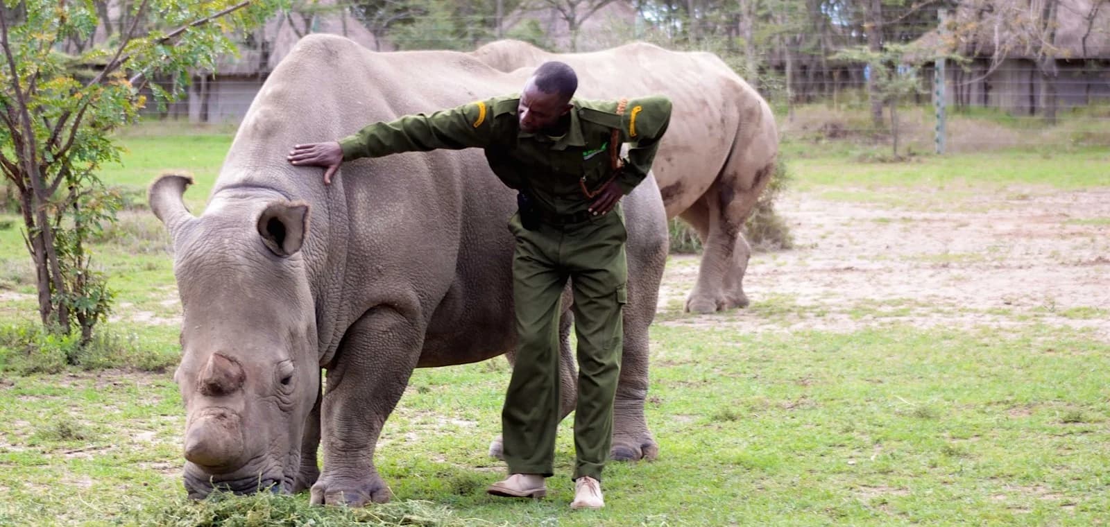 Ol Pejeta Conservancy