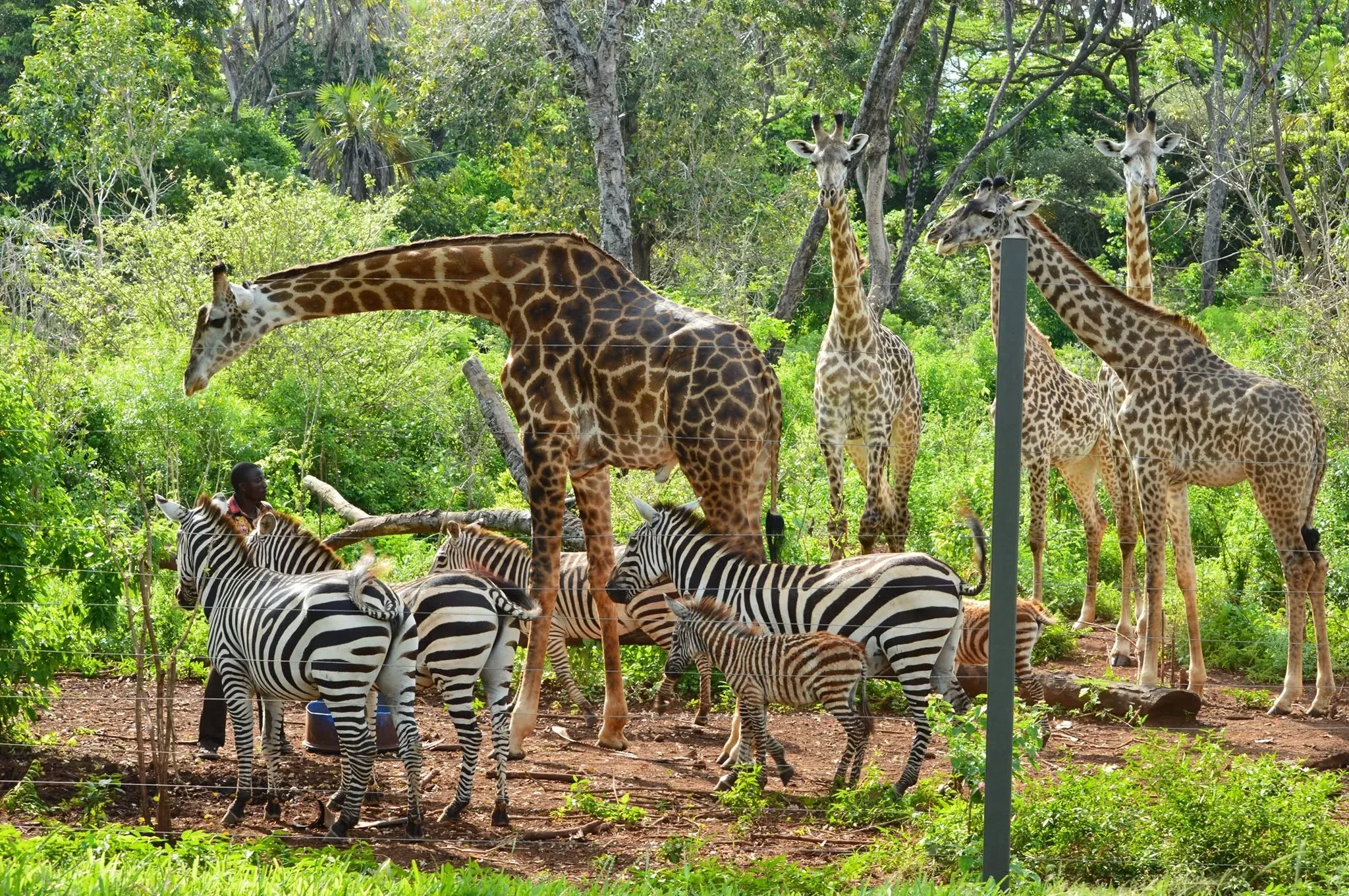Half-Day Bora Bora Wildlife Sanctuary Tour