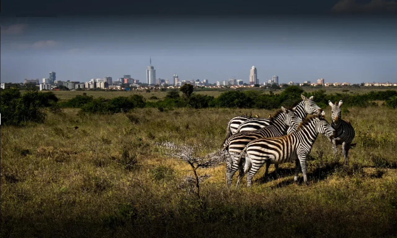 Nairobi Ultimate Wildlife & Heritage Day Safari