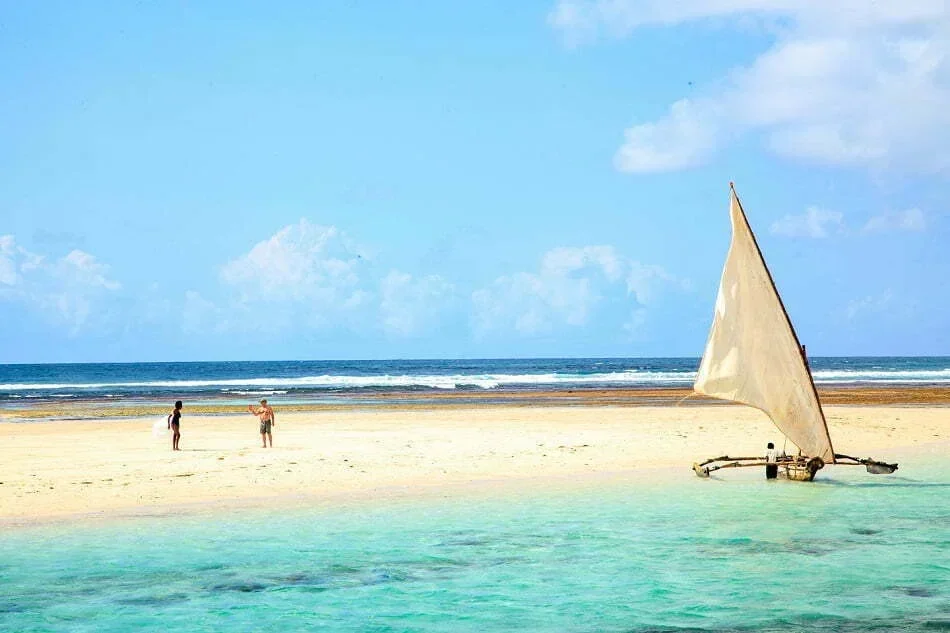Funzi Island Mangrove & Sandbank Safari