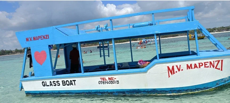 Half-Day Robinson Island Sandbank & Glass-Bottom Boat Tour