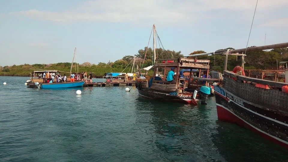 Wasini Dolphin Dhow Safari