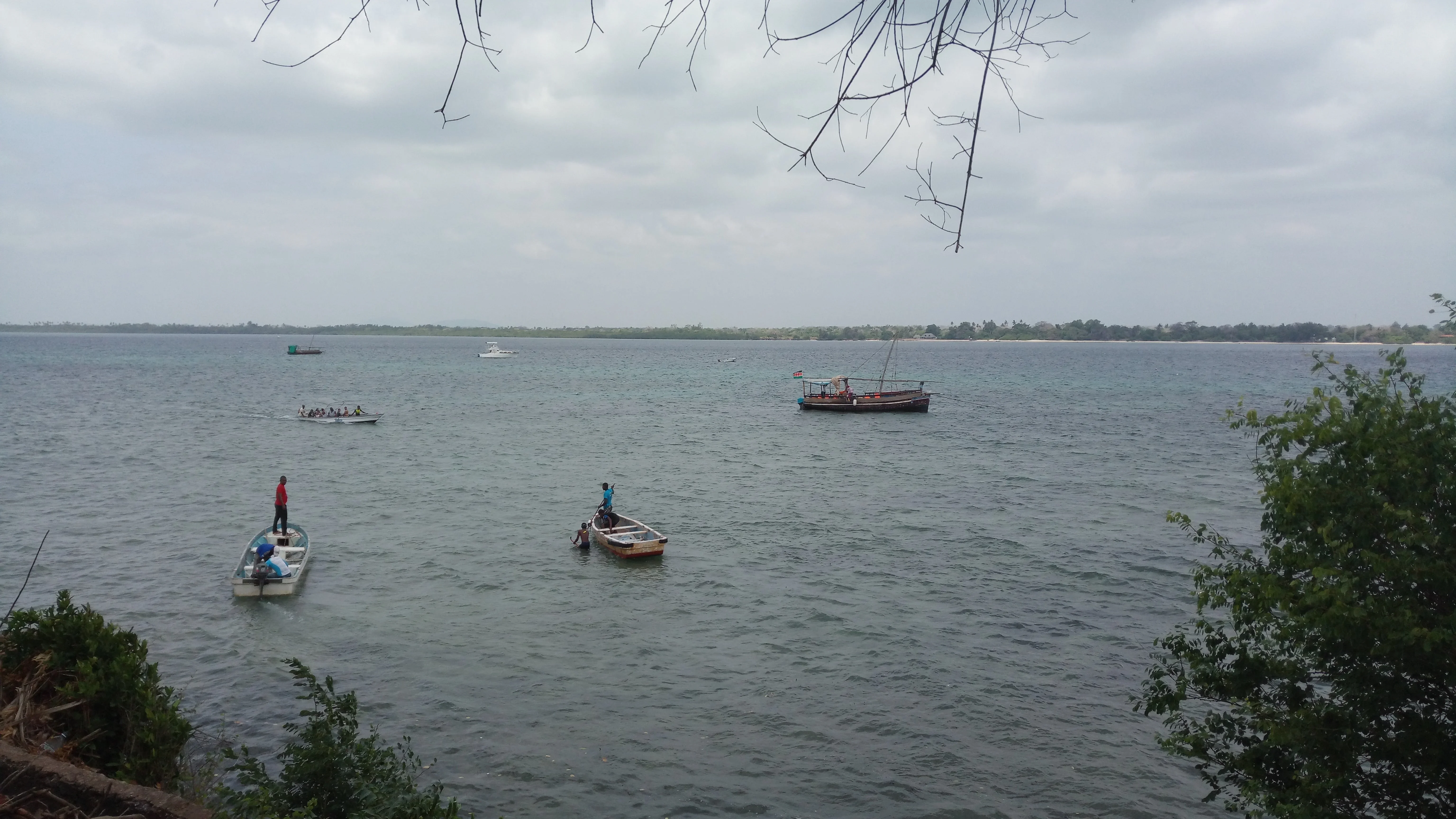 1-Day Wasini Island, Kisite Marine Park & Shimoni Caves