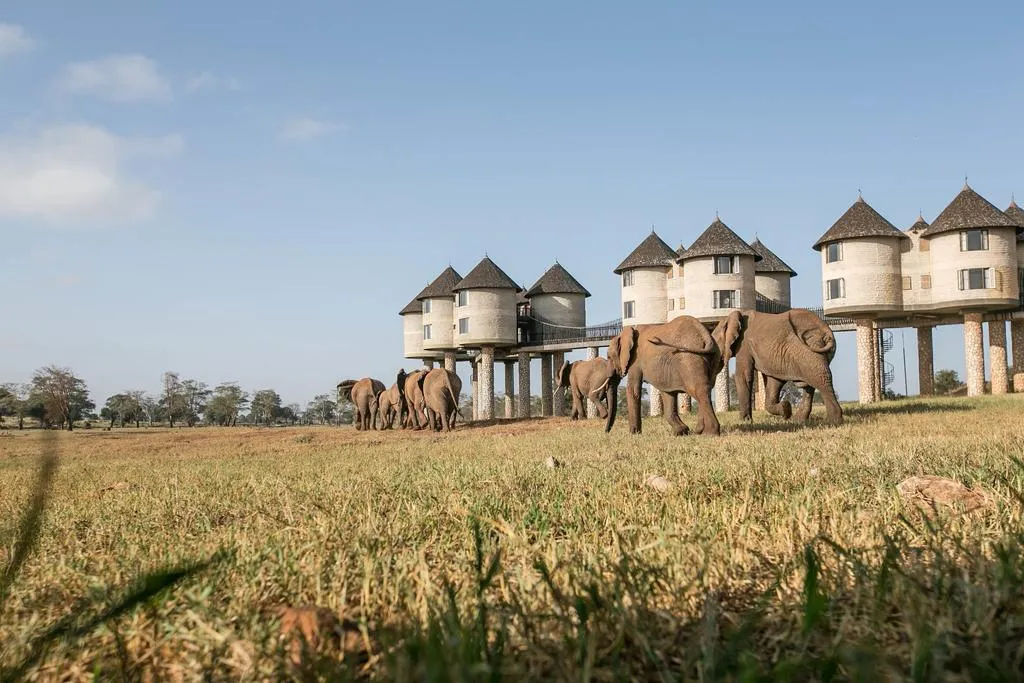 5D Private Sanctuaries: Ngutuni, Salt Lick & Ziwani