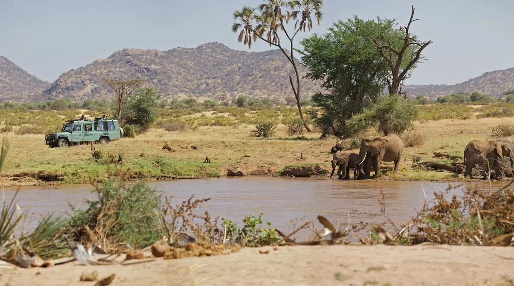 7-Day The Grand Classic Kenya Safari (Samburu, Nakuru, Naivasha, Mara)