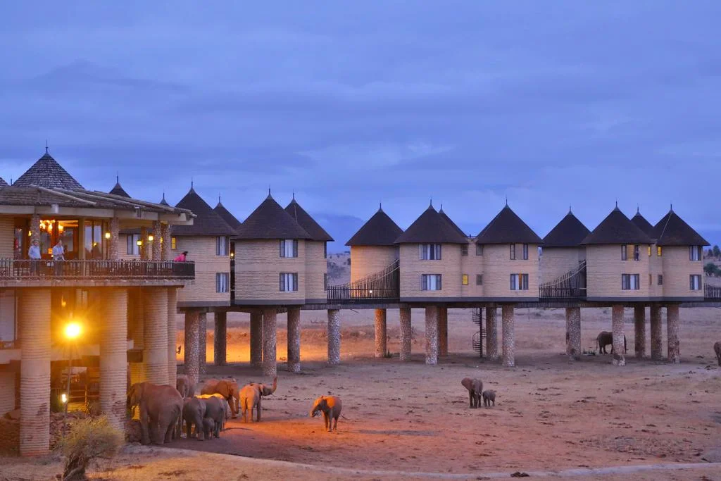 2-Day Taita Hills & Salt Lick Stilts Safari